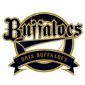 Orix Buffaloes