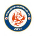 Shangyu Pterosaur